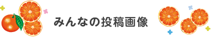 みんなの投稿画像