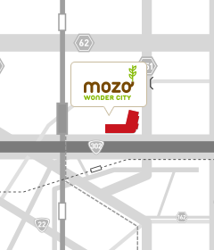 Mozo Wonder City