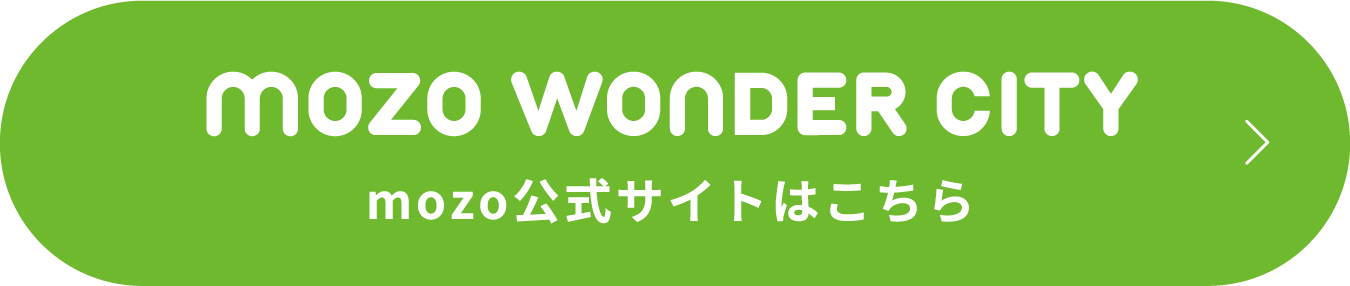 mozo wonder city
